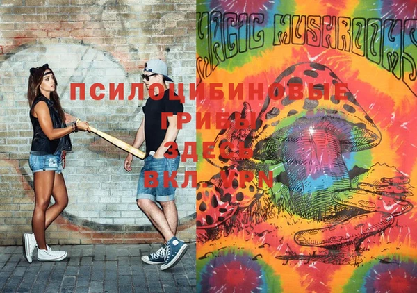 гашик Беломорск