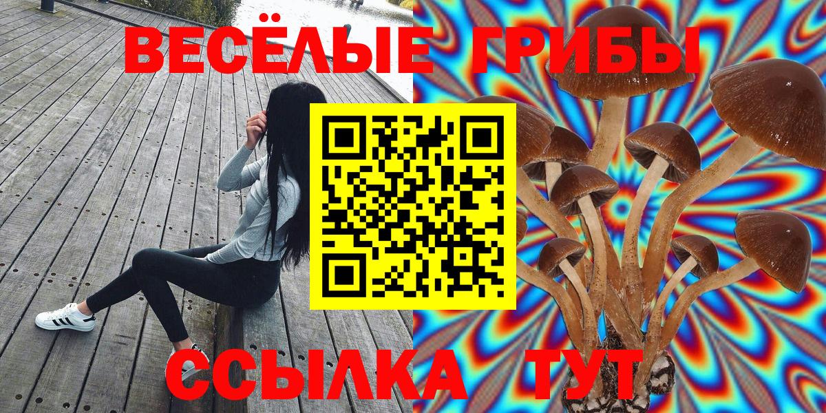Галлюциногенные грибы ЛСД Малоярославец